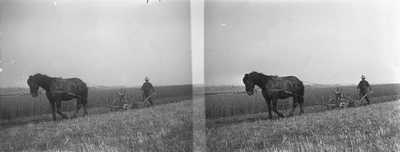 6249 Afbeelding van een boer met paard tijdens het ploegen van een akker, mogelijk in de omgeving van Rhenen.